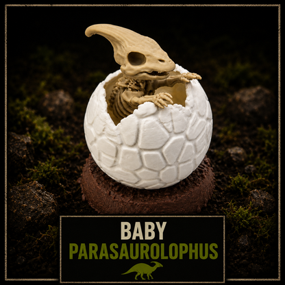 PROJECT // TINY TERRORS | 3-Pack