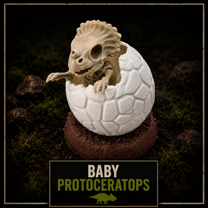 PROJECT // TINY TERRORS | Full Discovery Set